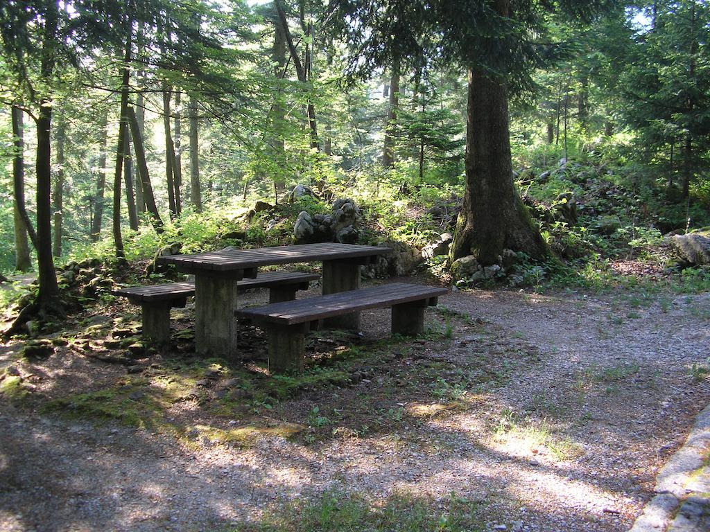 Camping Pivka Jama Postojna Bagian luar foto