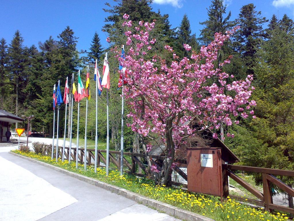 Camping Pivka Jama Postojna Bagian luar foto